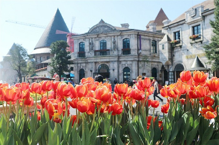 Lễ hội hoa Tulip Sun World Ba Na Hills.