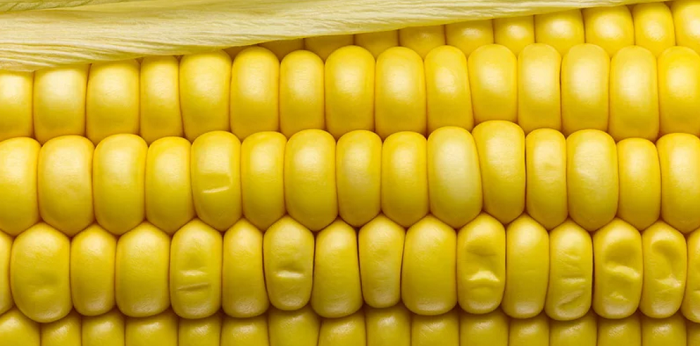 Ngô, đậu Hà Lan, khoai tây, bí, bí và quả có xu hướng chứa ít vitamin, khoáng chất và chất xơ hơn các loại rau khác. Ngô, đậu Hà Lan, khoai tây, bí, bí và quả có xu hướng chứa ít vitamin, khoáng chất và chất xơ hơn các loại rau khác.