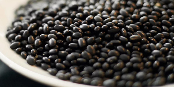 Các loại đậu sẽ cung cấp một chế độ dinh dưỡng tuyệt vời cho bữa ăn của bạn. Các loại đậu sẽ cung cấp một chế độ dinh dưỡng tuyệt vời cho bữa ăn của bạn.