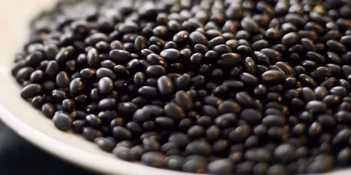 Các loại đậu sẽ cung cấp một chế độ dinh dưỡng tuyệt vời cho bữa ăn của bạn.