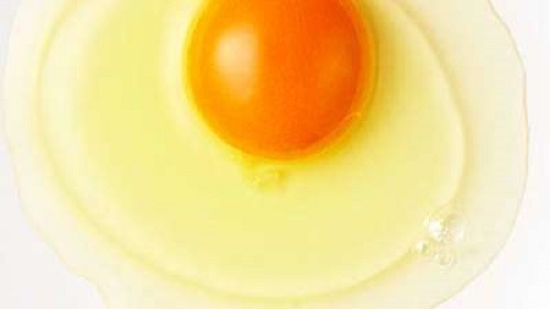 Phụ nữ mang thai hãy sử dụng trứng đã được nấu chín. Phụ nữ mang thai hãy sử dụng trứng đã được nấu chín.