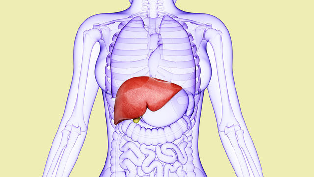Chuyện gì xảy ra nếu bạn mắc Viêm gan C? Chuyện gì xảy ra nếu bạn mắc Viêm gan C?