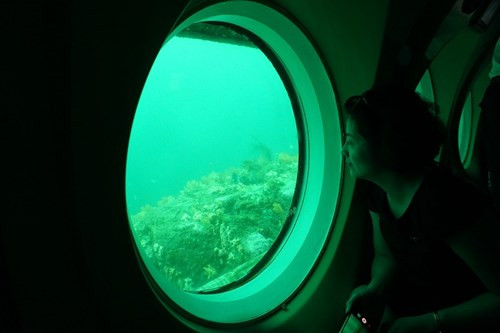 Qua cửa kính tàu ngầm, du khách được chiêm ngưỡng thế giới thực vật đa dạng, thích thú với những màn biểu diễn của thợ lặn, thậm chí sửng sốt trước chiếc tàu nằm sâu dưới đáy biển. Qua cửa kính tàu ngầm, du khách được chiêm ngưỡng thế giới thực vật đa dạng, thích thú với những màn biểu diễn của thợ lặn, thậm chí sửng sốt trước chiếc tàu nằm sâu dưới đáy biển.