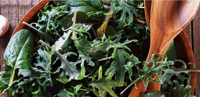 Các loại rau có màu tối đậm sẽ chứa nhiều chất dinh dưỡng hơn.
