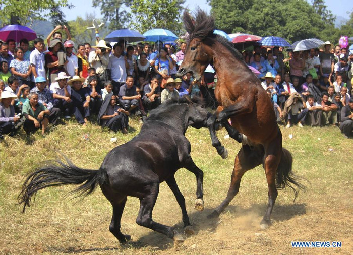 Hạ gục đối thủ. Hạ gục đối thủ.