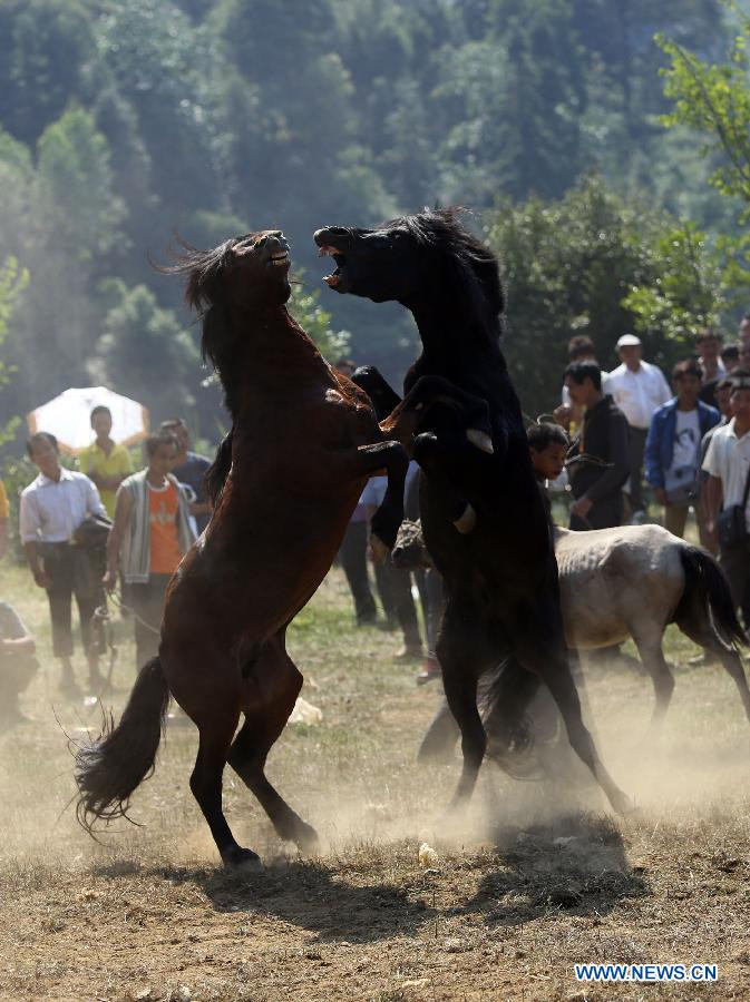 Hai chân dựng đứng dồn lực tấn công. Hai chân dựng đứng dồn lực tấn công.