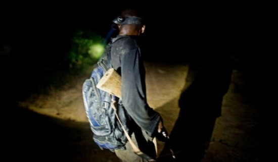 Năm ngoái, số lượng voi bị săn trộm tại Gabon ở mức cao hơn bao giờ hết.