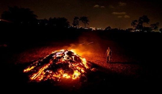 Hàng tấn ngà voi bị đốt cháy trong một nỗ lực ngăn chặn nạn săn bắn trộm voi cũng như các động vật hoang dã khác.