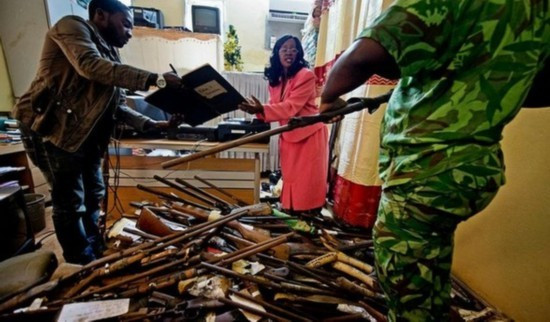 Tịch thu súng được dùng vào mục đích săn bắn động vật hoang dã.