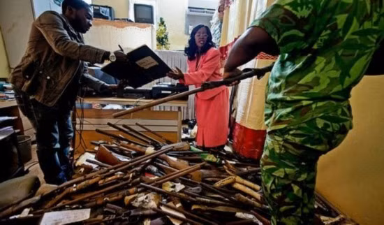 Tịch thu súng được dùng vào mục đích săn bắn động vật hoang dã. Tịch thu súng được dùng vào mục đích săn bắn động vật hoang dã.