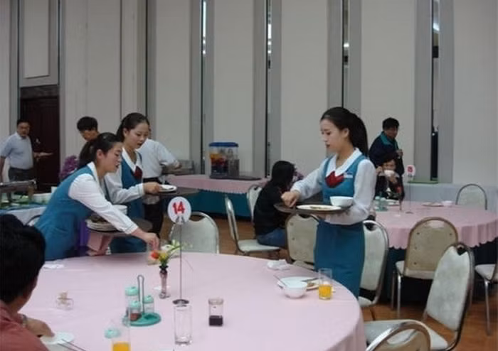 Những nữ nhân viên Triều Tiên phục vụ trong các nhà hàng. Những nữ nhân viên Triều Tiên phục vụ trong các nhà hàng.