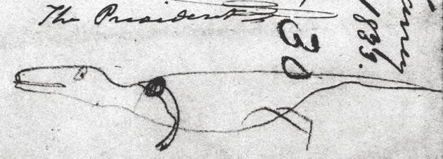 Chú cá sấu của cựu Tổng thống Mỹ Andrew Jackson từ năm 1833. Chú cá sấu của cựu Tổng thống Mỹ Andrew Jackson từ năm 1833.