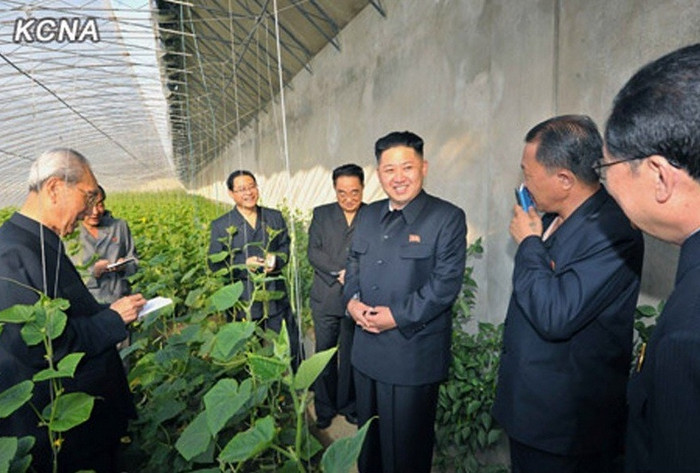Nhà lãnh đạo Bắc Triều Tiên chỉ đạo Viện nghiên cứu trồng hoa Bình Nhưỡng cần nhập khẩu các loài hoa nổi tiếng thế giới và giúp chúng thích nghi với các điều kiện khí hậu và đất của đất nước. Nhà lãnh đạo Bắc Triều Tiên chỉ đạo Viện nghiên cứu trồng hoa Bình Nhưỡng cần nhập khẩu các loài hoa nổi tiếng thế giới và giúp chúng thích nghi với các điều kiện khí hậu và đất của đất nước.