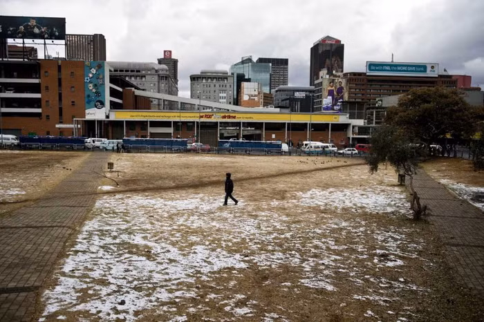 Những công viên ngập một màu trắng của tuyết.