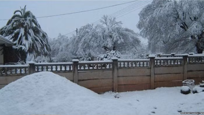 Người dân đã đổ xô đi xem tuyết rơi.