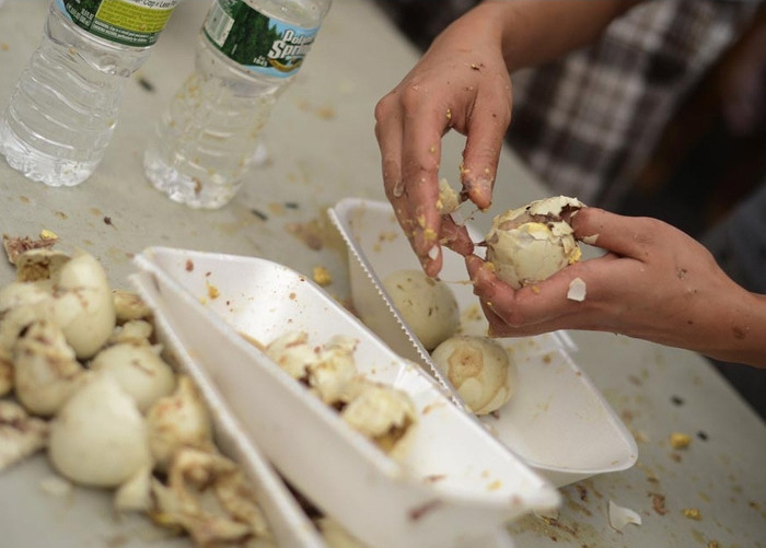 Ai ăn được nhiều trứng vịt lộn nhất trong 5 phút sẽ trở thành người chiến thắng. Ai ăn được nhiều trứng vịt lộn nhất trong 5 phút sẽ trở thành người chiến thắng.