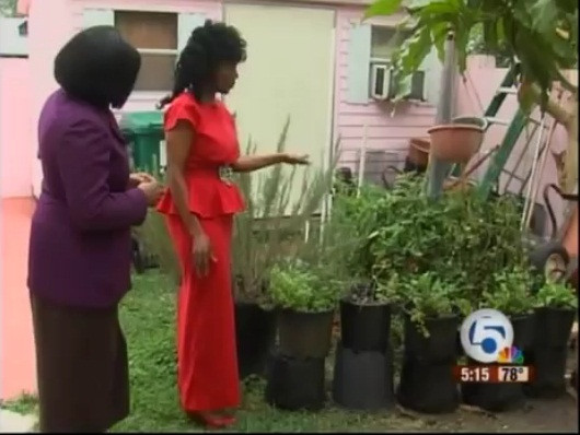 Bà Annette Larkins bên vườn rau đặc biệt của mình. Bà Annette Larkins bên vườn rau đặc biệt của mình.