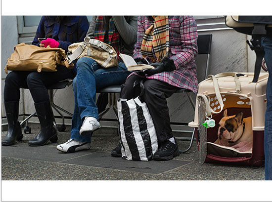 Mọi người, trong đó có cả một chú chó đang xếp hàng chờ đợi chiếc iPad 2 ra lò trước Apple store ở Vancouver, Colombia.