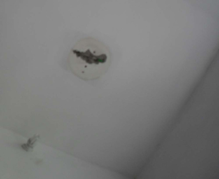 Bóng đèn lắp trên trần cầu thang bộ... Bóng đèn lắp trên trần cầu thang bộ...