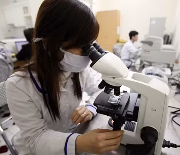 Sơn đã dùng kế dạng như "ly miêu đổi thái tử" để giúp bạn. Ảnh minh họa