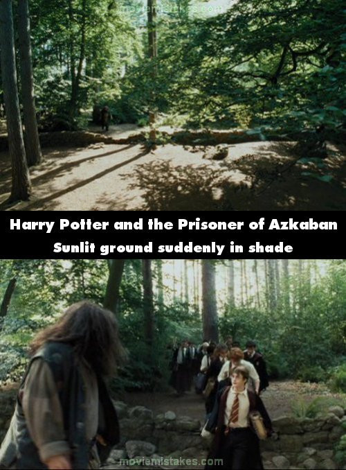 Ánh nắng chan hòa trên mặt đất đột nhiên biến mất, khung cảnh trở nên râm mát lạ thường.