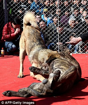 Cuộc thi man rợ này có giải thưởng hầu như không có giá trị vật chất. Cuộc thi man rợ này có giải thưởng hầu như không có giá trị vật chất.