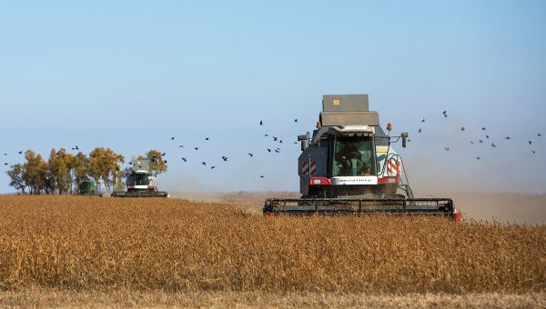 Ảnh Rian. Ảnh Rian.