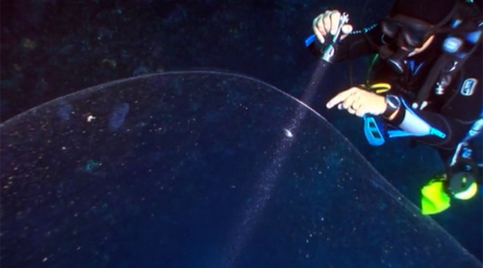 Thợ lặn đến từ Istanbul quan sát quả cầu khổng lồ bí ẩn. Thợ lặn đến từ Istanbul quan sát quả cầu khổng lồ bí ẩn.