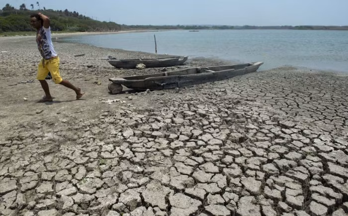 Khi nhiệt độ đại dương tăng, cá sẽ chuyển đến vùng nước sâu hơn sinh sống, khiến cộng đồng ngư dân có truyền thống khai thác ven bờ có thể mất kế sinh nhai. Khi nhiệt độ đại dương tăng, cá sẽ chuyển đến vùng nước sâu hơn sinh sống, khiến cộng đồng ngư dân có truyền thống khai thác ven bờ có thể mất kế sinh nhai.
