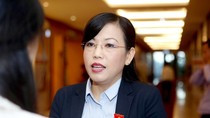Hơn 190.000 cử nhân, thạc sĩ, tiến sĩ đang thất nghiệp Hơn 190.000 cử nhân, thạc sĩ, tiến sĩ đang thất nghiệp