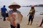Sự cố Formosa Hà Tĩnh xả thải trái pháp luật Việt Nam đã gây ra những ảnh hưởng nghiêm trọng tới đời sống của ngư dân và tình hình phát triển du lịch biển miền Trung. ảnh: Báo Nhân dân.