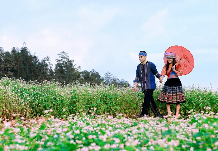 Vườn hoa tam giác mạch tạo cho du khách những trải nghiệm hết sức lãng mạn. Vườn hoa tam giác mạch tạo cho du khách những trải nghiệm hết sức lãng mạn.