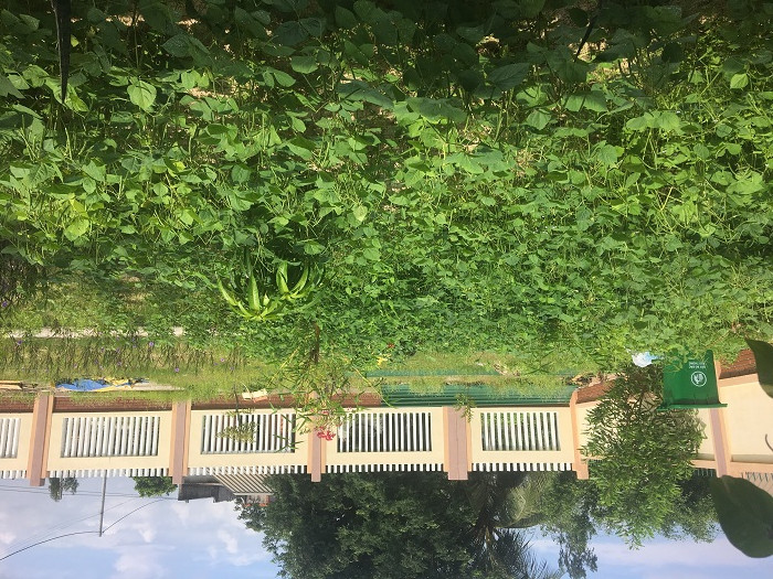 Bằng sự nỗ lực của các thầy cô giáo tại Trường mẫu giáo Tân Xuân vườn cây xanh cho các em học sinh vui chơi, học tập đã ra đời (Ảnh: tác giả cung cấp). Bằng sự nỗ lực của các thầy cô giáo tại Trường mẫu giáo Tân Xuân vườn cây xanh cho các em học sinh vui chơi, học tập đã ra đời (Ảnh: tác giả cung cấp).