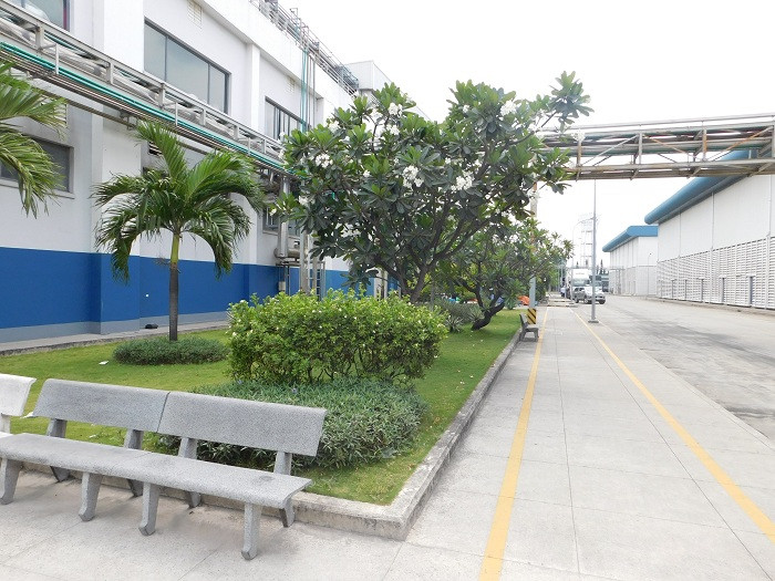 Rất nhiều cây xanh được trồng trong khuôn viên của công ty. Rất nhiều cây xanh được trồng trong khuôn viên của công ty.