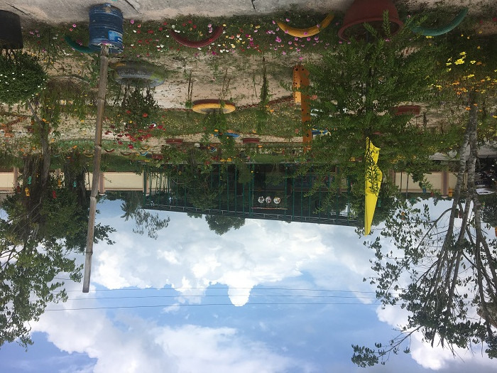 Vườn cây xanh với đủ loại hoa đa dạng, rực rỡ (Ảnh: tác giả cung cấp). Vườn cây xanh với đủ loại hoa đa dạng, rực rỡ (Ảnh: tác giả cung cấp).