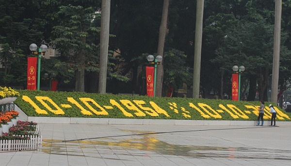 Những bông cúc vàng tạo thành hàng số lịch sử trên vườn hoa Lê Nin.