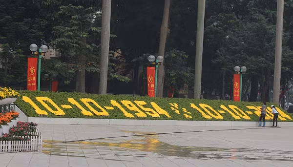 Những bông cúc vàng tạo thành hàng số lịch sử trên vườn hoa Lê Nin.