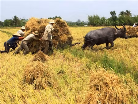40 năm sau khi thống nhất đất nước, kinh tế Việt Nam vẫn đang ở một khoảng cách khá xa so với Nhật Bản, Hàn Quốc, Malaysia.