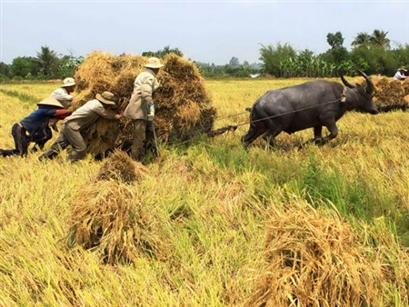 40 năm sau khi thống nhất đất nước, kinh tế Việt Nam vẫn đang ở một khoảng cách khá xa so với Nhật Bản, Hàn Quốc, Malaysia. 40 năm sau khi thống nhất đất nước, kinh tế Việt Nam vẫn đang ở một khoảng cách khá xa so với Nhật Bản, Hàn Quốc, Malaysia.