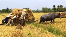 Tiền nhân đã dạy: "Khôn thì sống, mống thì chết" ảnh 3