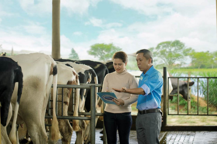 Người nông dân được trang bị kỹ năng chăn nuôi và kiểm soát rủi ro liên quan đến sức khỏe đàn bò. Người nông dân được trang bị kỹ năng chăn nuôi và kiểm soát rủi ro liên quan đến sức khỏe đàn bò.
