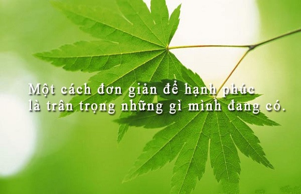 Giáo sư Nguyễn Lân Dũng đọc giùm bạn (50) - Cho và nhận, Ai hạnh phúc hơn ai? ảnh 2