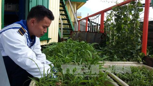 Lãnh sự Nam Phi truyền lửa nhân ái gói bánh chưng tặng người nghèo đón Tết ảnh 2