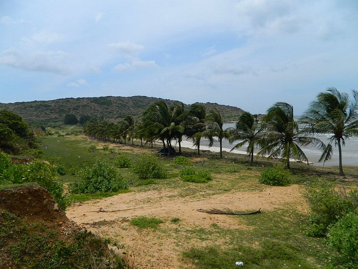 Sau khi bị thu hồi dự án, ông Mc Kenzie quay ra kiện Chính phủ Việt Nam, nhưng đã bị trọng tài quốc tế bác đơn kiện. Ảnh minh họa, nguồn internet. Sau khi bị thu hồi dự án, ông Mc Kenzie quay ra kiện Chính phủ Việt Nam, nhưng đã bị trọng tài quốc tế bác đơn kiện. Ảnh minh họa, nguồn internet.