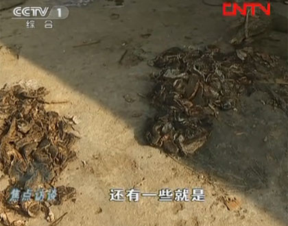 Mới đây, tháng 4/2012, cơ quan chức năng Trung Quốc bắt giữ hơn 100 người sản xuất dầu ăn từ xác động vật phân hủy Mới đây, tháng 4/2012, cơ quan chức năng Trung Quốc bắt giữ hơn 100 người sản xuất dầu ăn từ xác động vật phân hủy