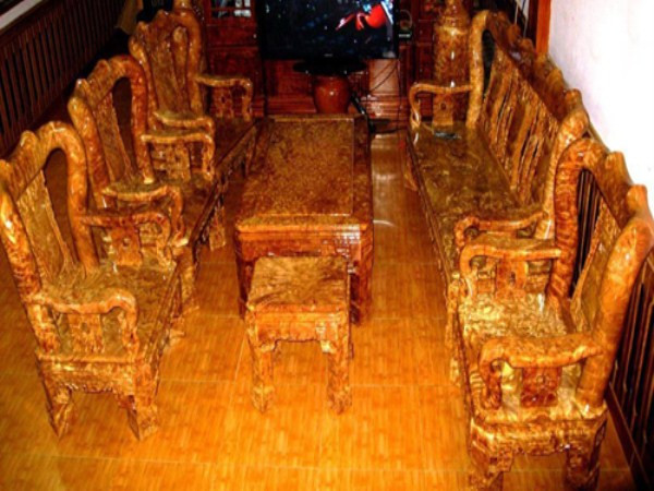 Ngọc nghiến hay còn gọi dân dã là nghiến "hóa thạch", mắt nghiến, nu nghiến hay bìu nghiến là phần cứng nhất của cây gỗ nghiến, được hình thành từ một "cái lỗi" hay khuyết tật nào đó như sâu bệnh, chặt chém, bị sét đánh… trong quá trình phát triển của cây. Cây gỗ nghiến phải dồn tích dưỡng chất vào chỗ bị thương để bảo vệ và chống sự xâm nhập từ bên ngoài nên phần này phát triển dị thường, tạo những phần gỗ mọc phình ra, đó chính là ngọc nghiến. Ảnh: Bộ bàn ghế bằng ngọc nghiến trị giá 14 tỉ đồng. Ngọc nghiến hay còn gọi dân dã là nghiến "hóa thạch", mắt nghiến, nu nghiến hay bìu nghiến là phần cứng nhất của cây gỗ nghiến, được hình thành từ một "cái lỗi" hay khuyết tật nào đó như sâu bệnh, chặt chém, bị sét đánh… trong quá trình phát triển của cây. Cây gỗ nghiến phải dồn tích dưỡng chất vào chỗ bị thương để bảo vệ và chống sự xâm nhập từ bên ngoài nên phần này phát triển dị thường, tạo những phần gỗ mọc phình ra, đó chính là ngọc nghiến. Ảnh: Bộ bàn ghế bằng ngọc nghiến trị giá 14 tỉ đồng.