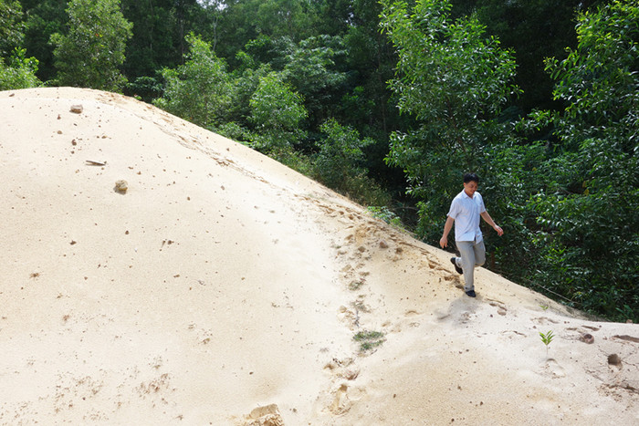 Những bãi cát bí ẩn. Những bãi cát bí ẩn.