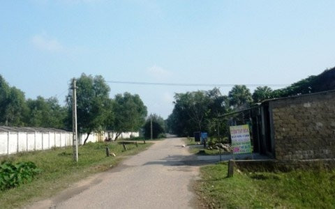 Khu vực trước cổng trường THPT Nguyễn Đình Liễn, nơi L. bị nhóm nữ sinh đánh dã man.