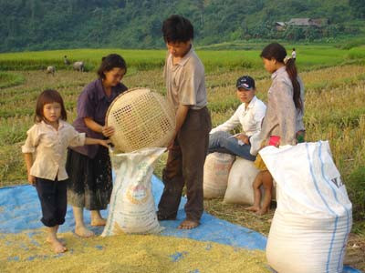 Chính phủ đã có nhiều nỗ lực trong công tác xóa đói giảm nghèo những năm gần đây. Chính phủ đã có nhiều nỗ lực trong công tác xóa đói giảm nghèo những năm gần đây.
