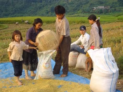 Thủ tướng chỉ đạo điều chỉnh 3 doanh nghiệp nhà nước lớn ảnh 3